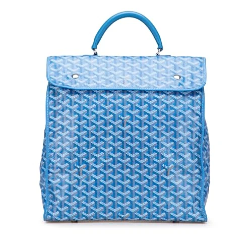 Pre-Loved Goyardine Saint Leger Backpack