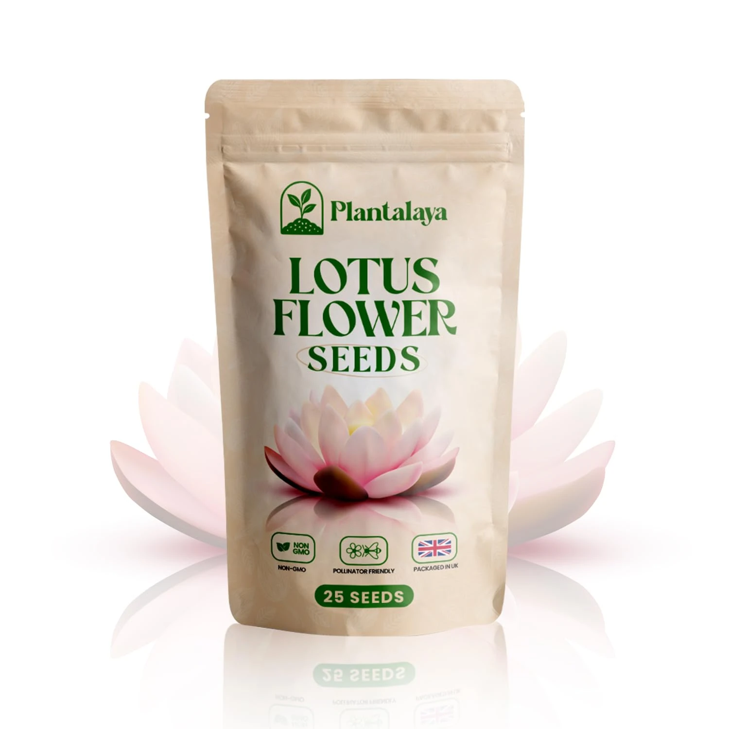 Lotus Flower Seeds – Easy to Grow Aquatic Plants for Ponds, Bowls & Water Gardens | Beautiful Blooming Lotus for Home & Garden Decoration