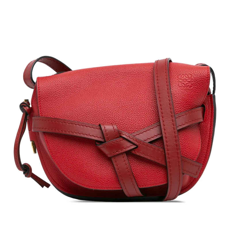 LOEWE Pre-Loved Small Leather Gate Crossbody