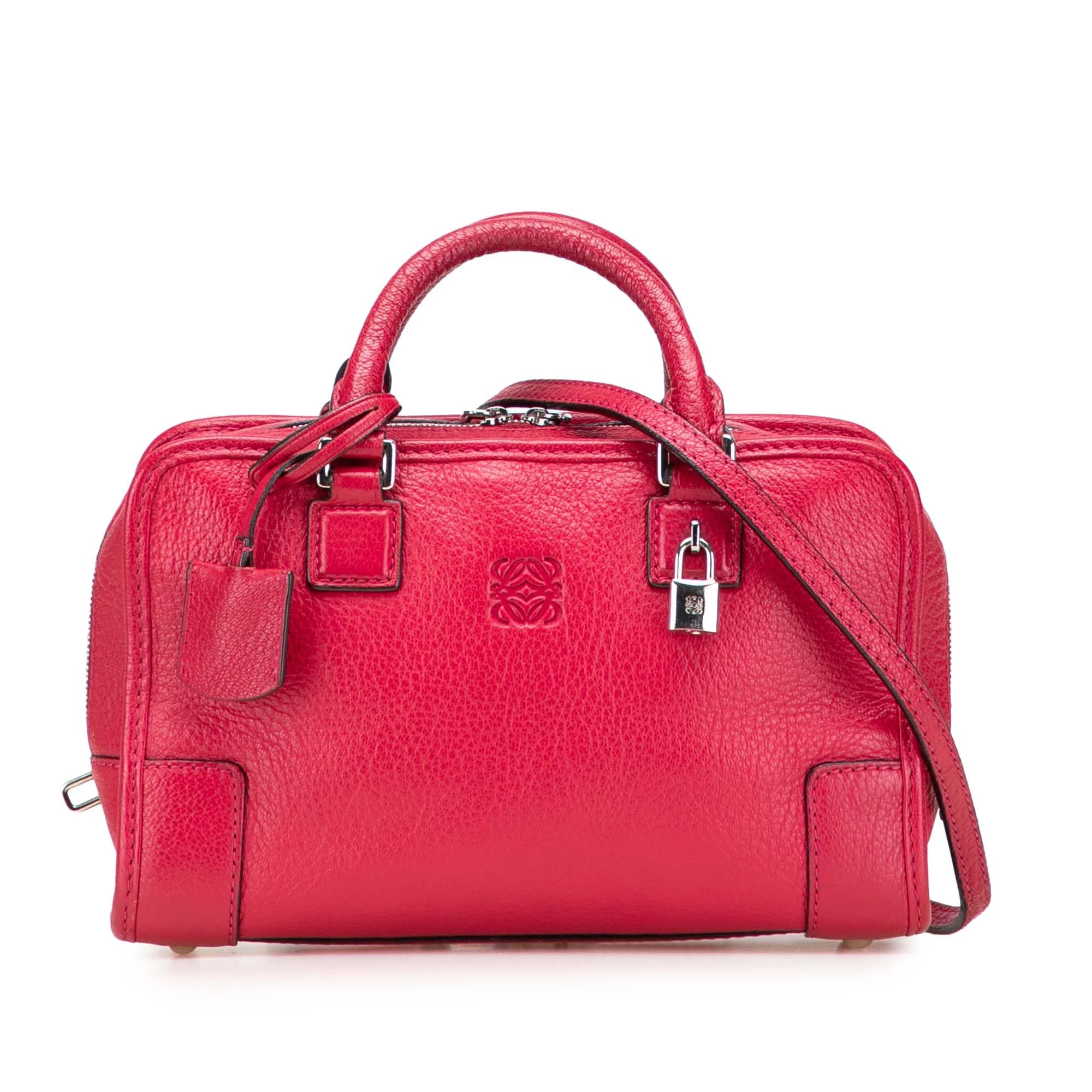 LOEWE Pre-Loved Leather Amazona 23