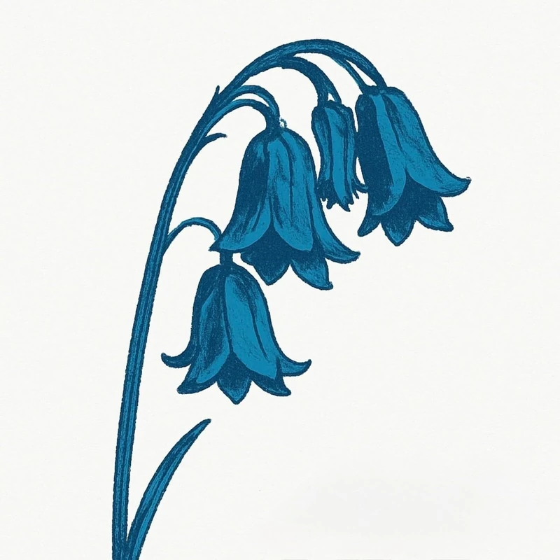 This Is The Bluebells [VINYL]