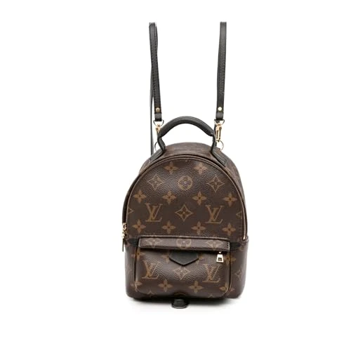 Louis Vuitton Pre-Loved Monogram Mini Palm Springs