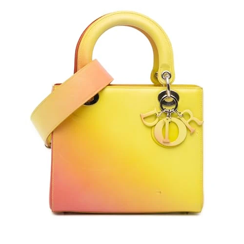 Dior Pre-Loved Medium Ombre Calfskin Lady Handbag