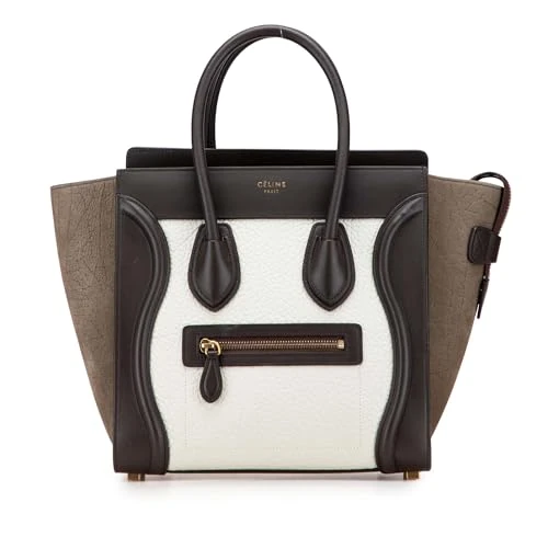 Celine Pre-Loved Micro Tricolor Nubuck And Calfskin Luggage Tote Bag