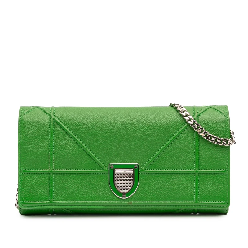 Pre-Loved Grained Calfskin Diorama Croisiere Wallet On Chain Handbag Crossbody Bag
