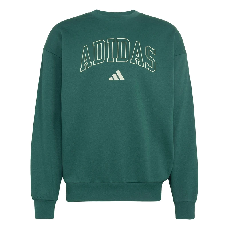 adidas Men's Seasonal Essentials Collegiate Fleece Crew Sweatshirt, collegiate green/halo green, L