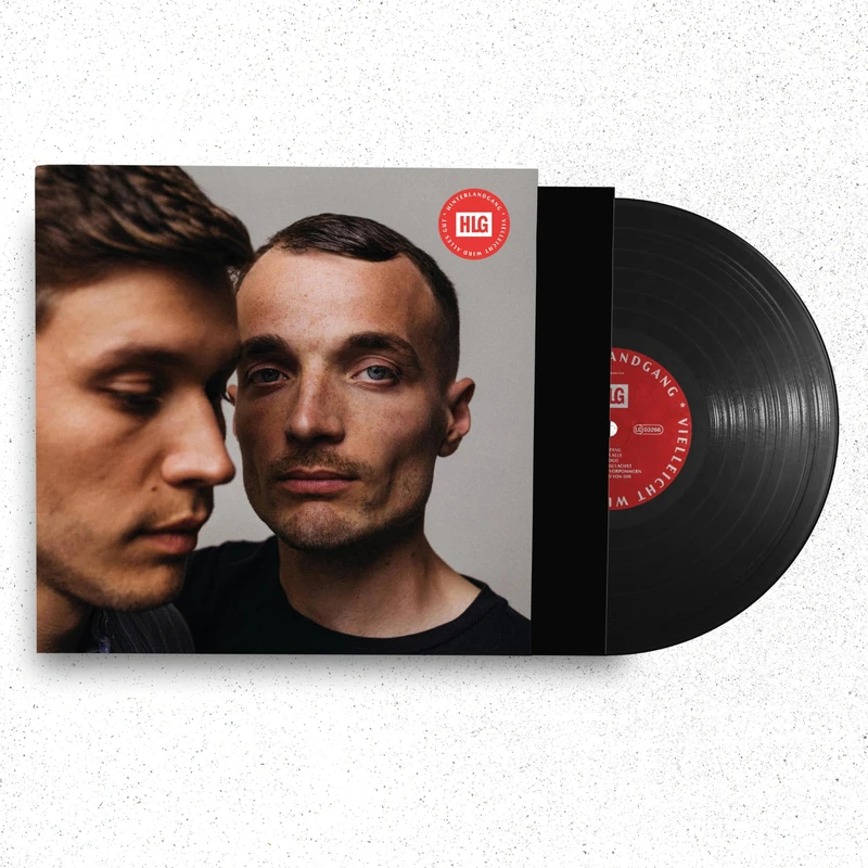 Vielleicht Wird Alles Gut (Gatefold/+Insert) [VINYL]