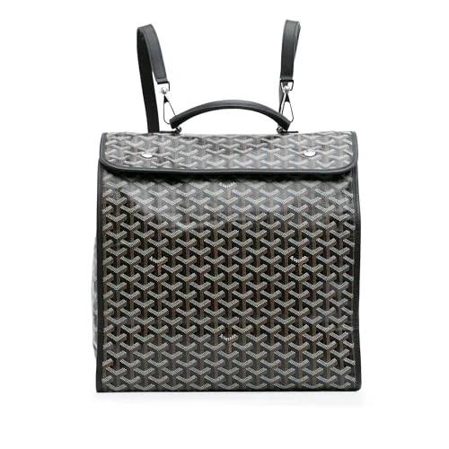 Pre-Loved Goyardine Saint Leger Backpack