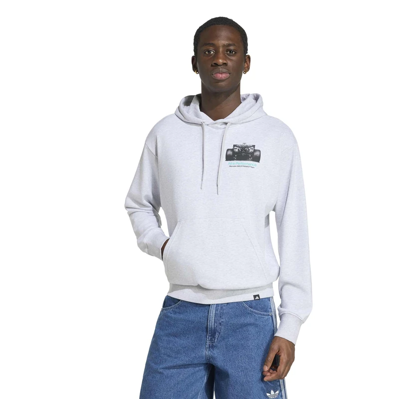 adidas Men's Mercedes - Amg Petronas Formula 1 Team Graphic Hood Sweatshirt, light grey heather/semi mint rush, L