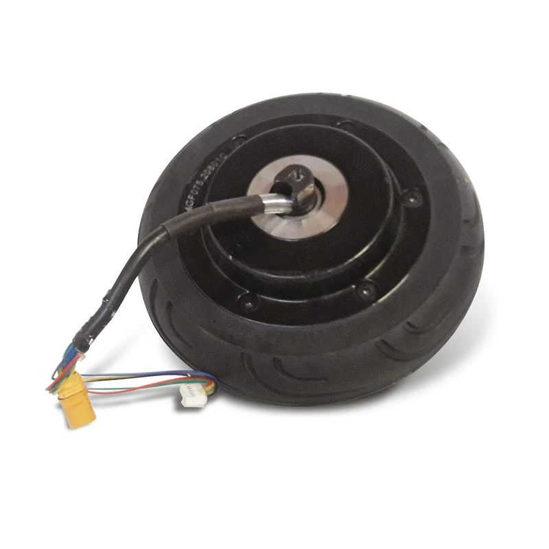 Wiizzee WS1 Unisex Adult Motor, Black, One Size