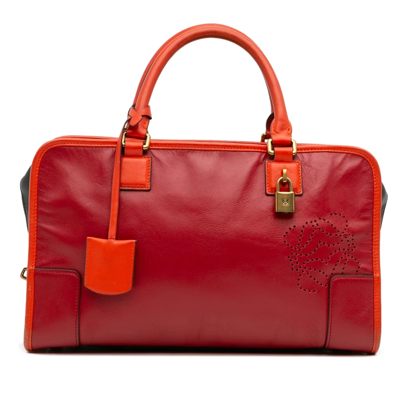 LOEWE Pre-Loved Tricolor Leather Amazona 36 Handbag