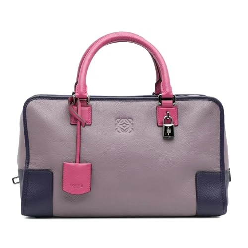 LOEWE Pre-Loved Tricolor Goatskin Amazona 36 Handbag