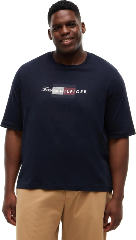 Tommy Hilfiger Men's Bt-Script Flag Tee-B MW0MW45120 S/S T-Shirt, Blue (Desert Sky), 5XL_Plus