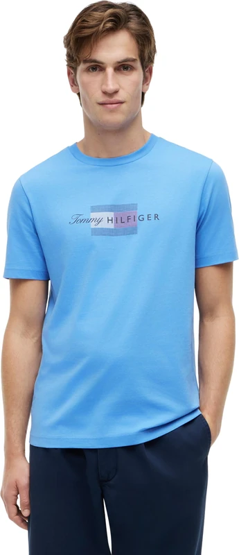 Tommy Hilfiger Men's Script Flag Regular Tee MW0MW43226 S/S T-Shirt, Blue (Blue Spell), S