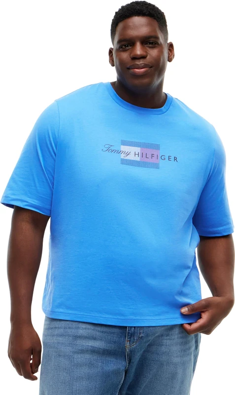 Tommy Hilfiger Men's Bt-Script Flag Tee-B MW0MW45120 S/S T-Shirt, Blue (Blue Spell), 5XL_Plus