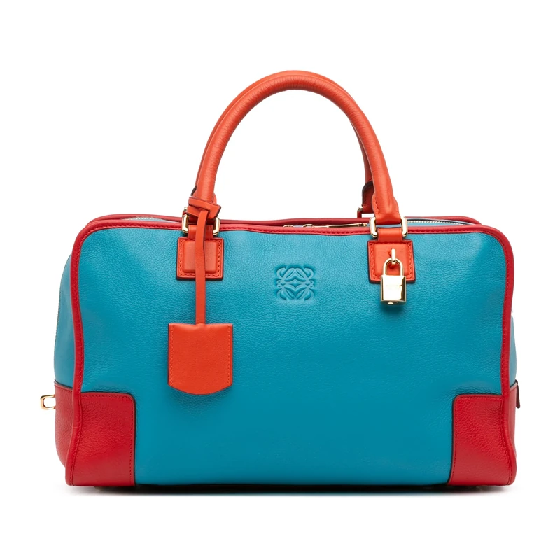 LOEWE Pre-Loved Tricolor Leather Amazona 36 Handbag