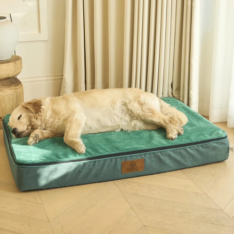 LIORCE Orthopedic Memory Foam XXL Dog Bed - 6" Thick Beds for Extra Large Sized Dog - Waterproof Removable Washable Cover & Wrap-Around Zipper - Ultimate Comfort & Easy Maintenance, Green