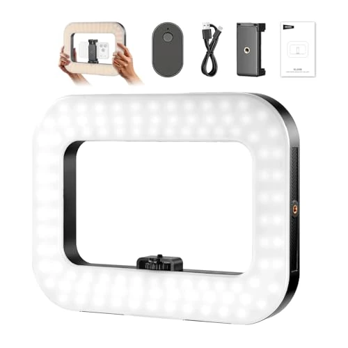 NEEWER ENTRY LEVEL VERSION Phone Video Rig with Light, Handheld Stabilizer with 20W Bi Color LED Square Ring Light, 3 Cold Shoes/5200mAh Battery/CRI80+ for Selfie Streaming Vlog Recording, NL200B