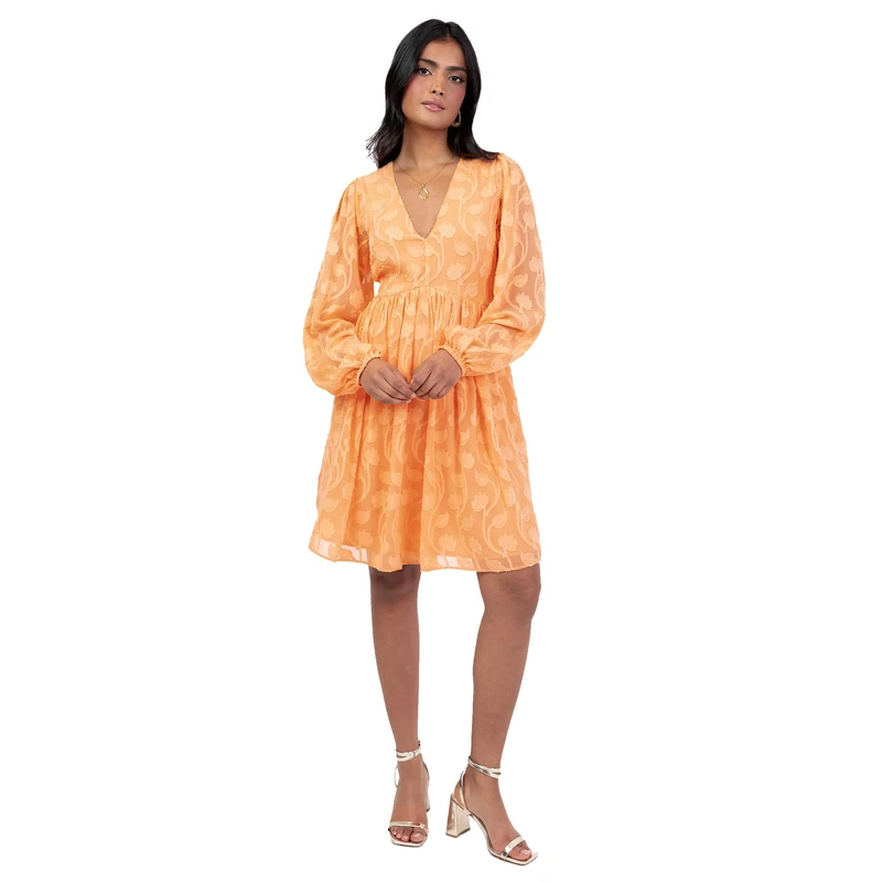 Lovedrobe Women's Mini Dress Ladies V-Neck Long Puff Sleeve Floral Burnout Empire Line Shirred Skater Fit and Flare Smart Casual, Orange 20 - Image 1