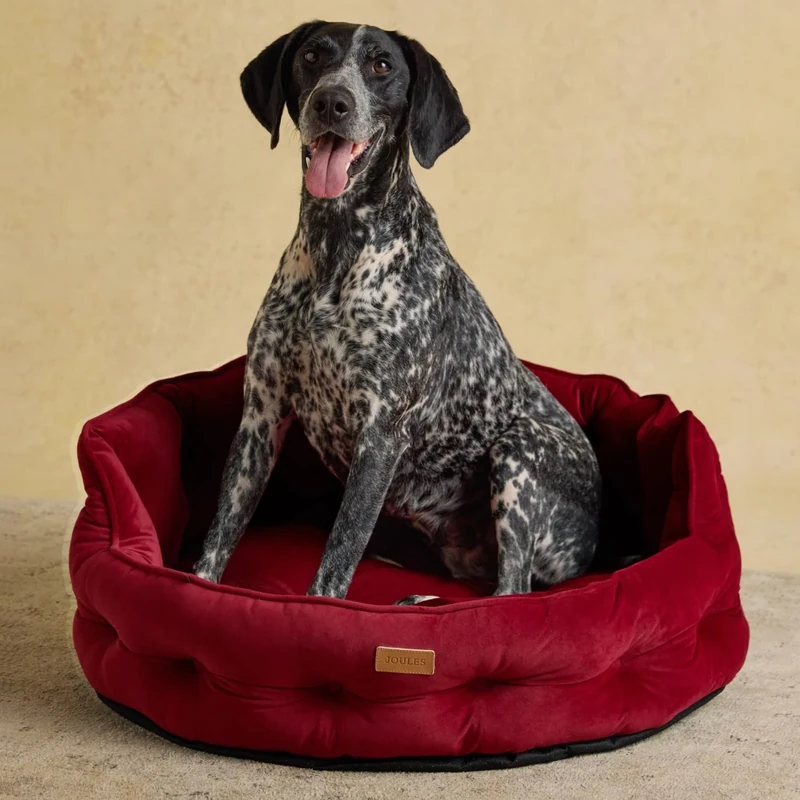 Rosewood x Joules Burgundy Chesterfield Pet Bed, Small – Luxury Velvet Dog Bed with Non-Slip Base, Extra Padding & Supportive Cushion – Stylish Sofa-Inspired Design, Comfortable Resting Spot