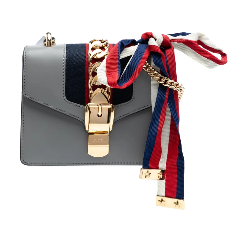 Gucci Pre-Loved Mini Leather Web Sylvie Chain Crossbody Bag