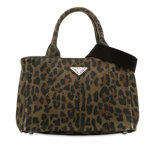 Pre-Loved Small Leopard Print Canvas Canapa Satchel