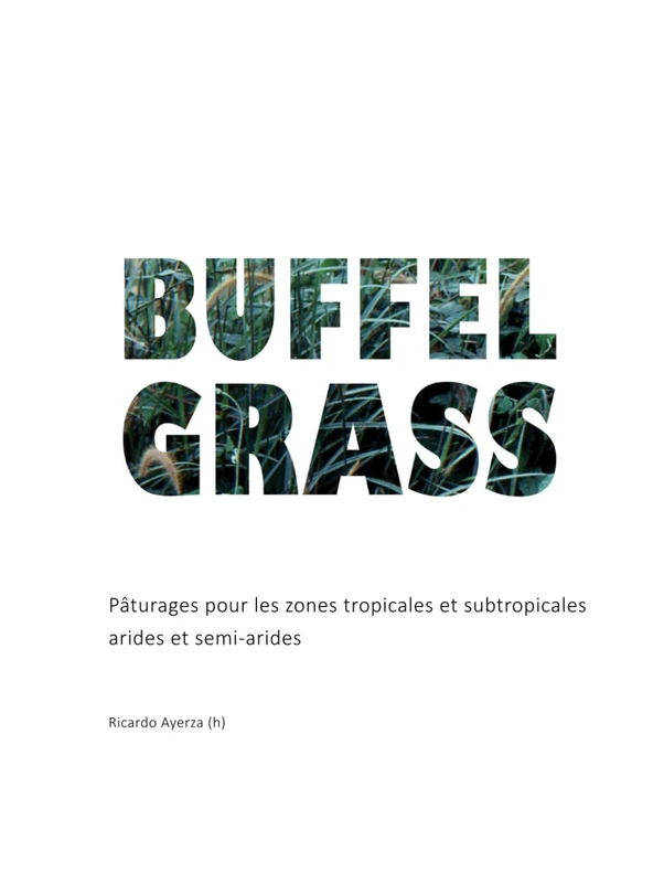 Buffel Grass: Pâturages pour l es zones tropicales et subtropicales arides et semi-ar ides (ZONES ARIDES)