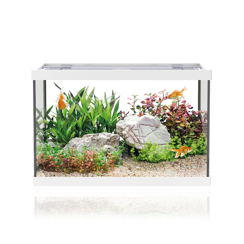AQPET One Mini White Glass Aquarium 20 Litre - Complete Aquarium with Inner Filter, Sand, Decorative Plant and Background - Elegant Design 36x22x26cm, Ideal for Beginners