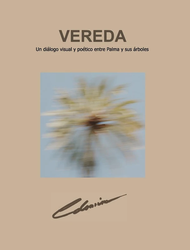 Vereda
