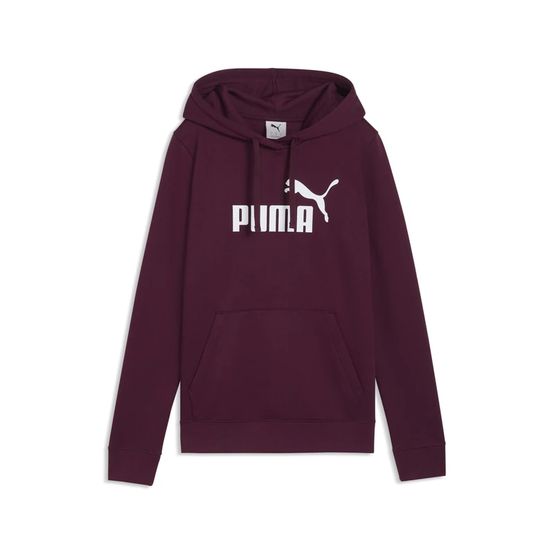 ESS No. 1 Logo Hoodie FL (s)