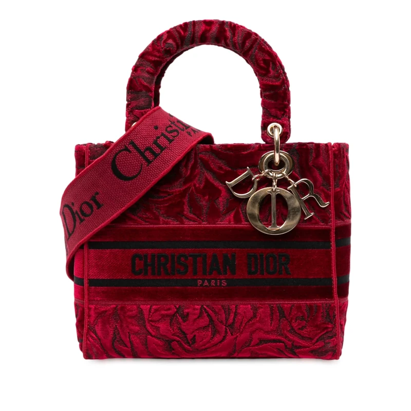 Pre-Loved Medium Embroidered Velvet Roses Lady D Lite Handbag
