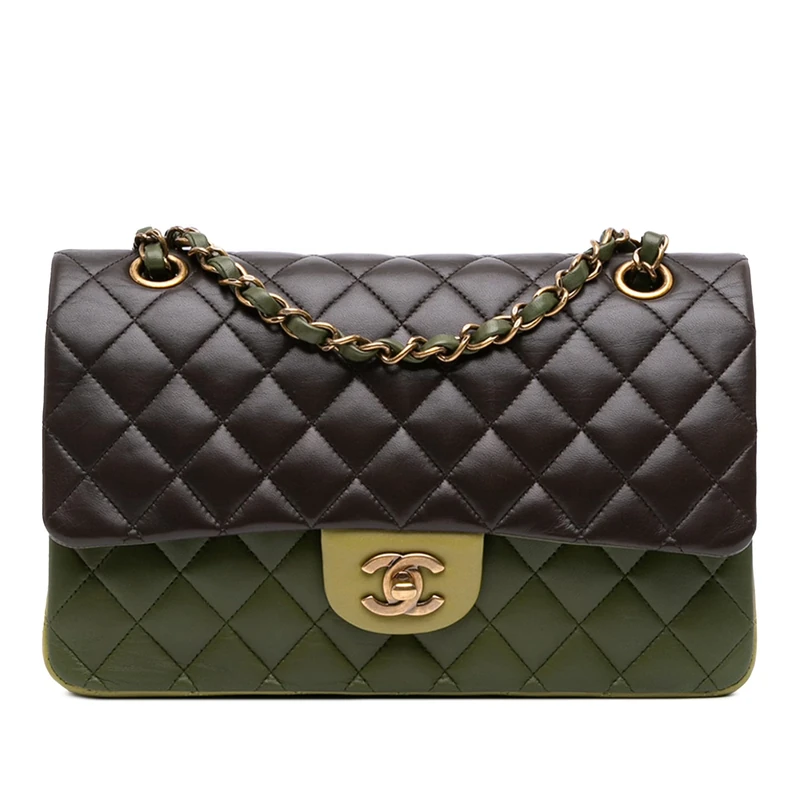 Chanel Pre-Loved Medium Classic Tricolor Lambskin Double Flap