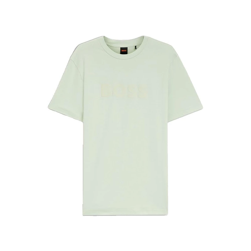 BOSS Te_Logo 10246016 01