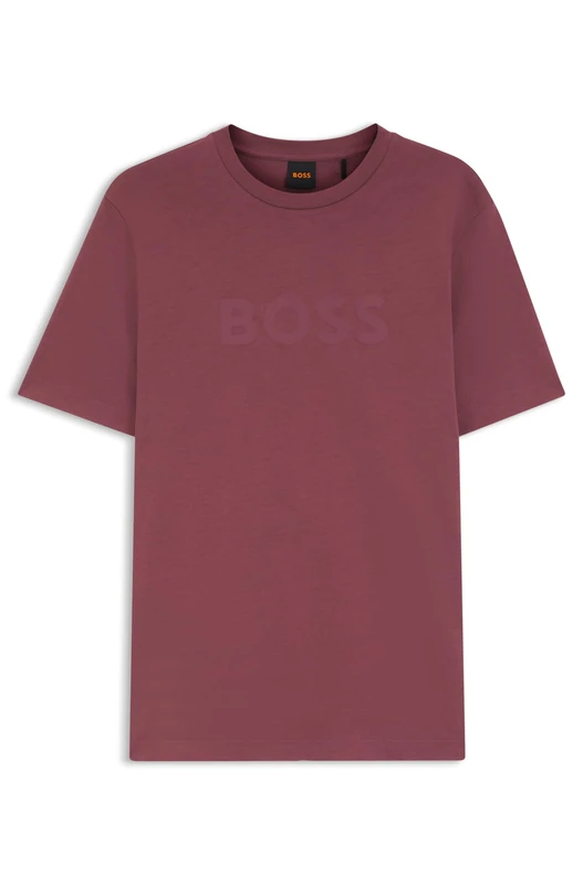 BOSS Te_Logo 10246016 01