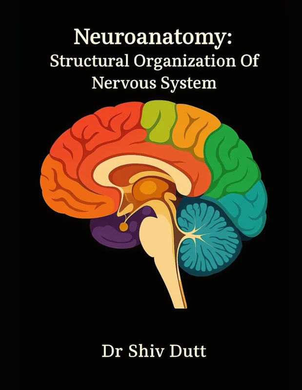 Neuroanatomy: Structural Organization Of Nervous System: 1 (Anatomy)