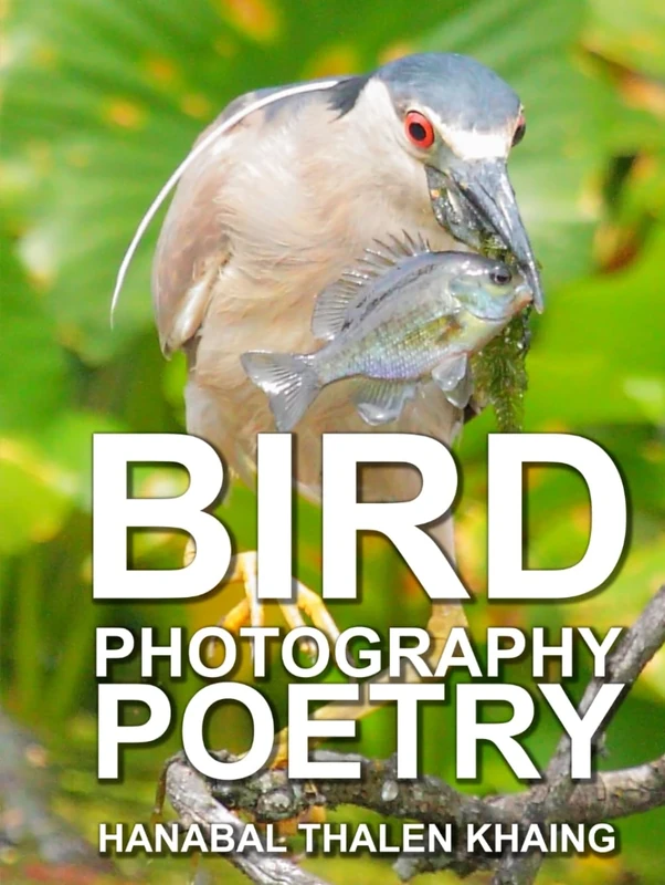 Bird Photography Poetry: Color and black and white bird photography with photo inspired Shakespearean sonnets and poems.
