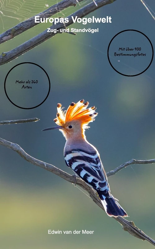 Unsere Singvögel Europas: Zug- und Standvögel