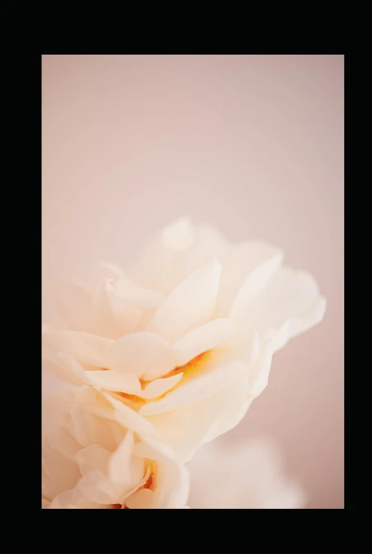 “Luxury 2026 Planner”: “Elegant design for intentional living”