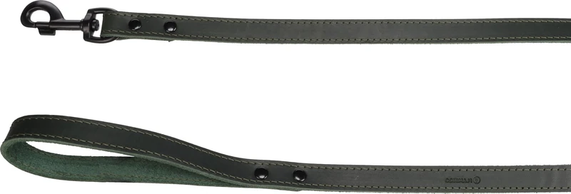 Dog Leash Montana Green 1,3m 20mm