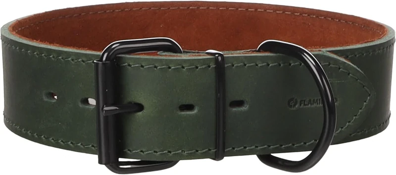 Dog Collar Montana Green XXXL 58-68cm 50mm