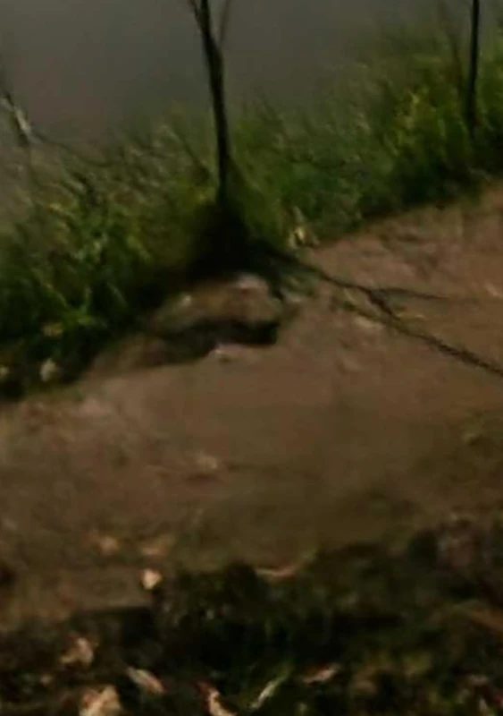 Weekly planner: Colorful pages time organiser