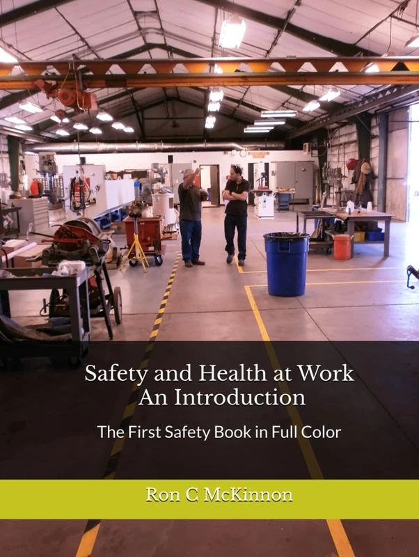 Safety and Health at Work - An Introduction: The First Safety Book in Full Color