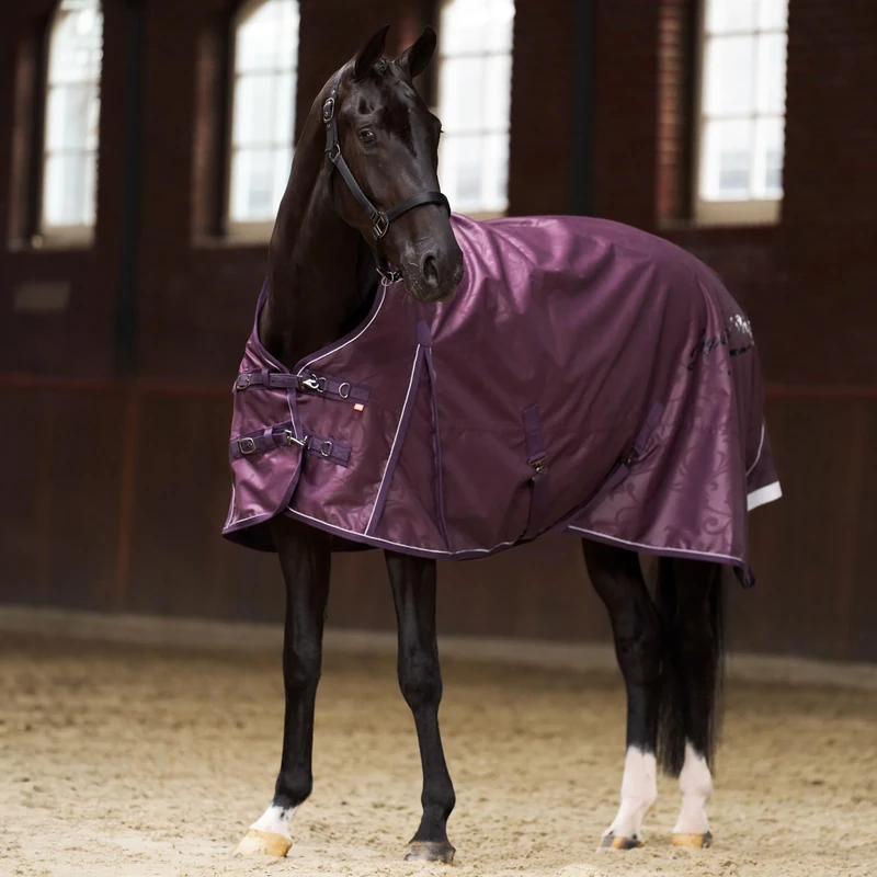 Imperial Riding IRH Super-Dry Outdoor Blanket, 300 g, Waterproof & Breathable, 600D Polyester, 300 g Filling, Warm Winter Blanket for Horses, Robust & Easy Care, Fig, 125