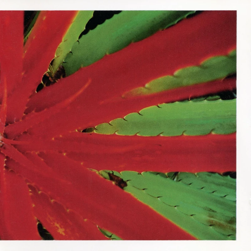 This Afternoons Malady [VINYL] - Image 1