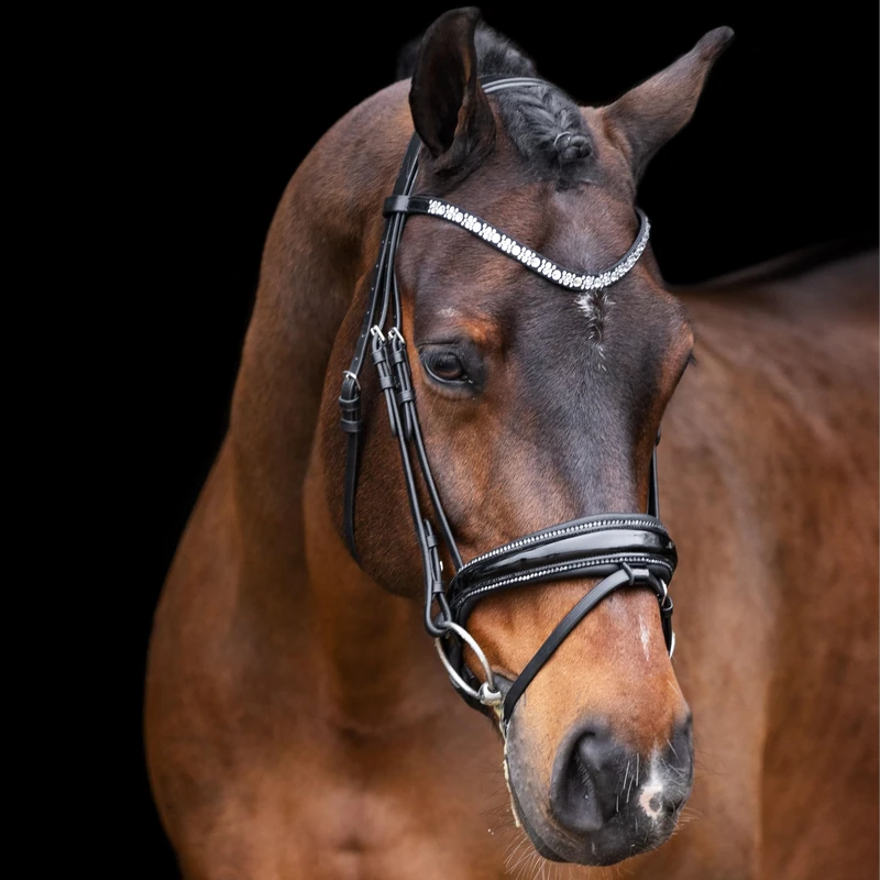 Imperial Riding IRH Olympia Bridle without Reins, Anatomical Headpiece, Calfskin Padding, Forehead & Noseband with Rhinestones, Premium Buffalo Leather, Stainless Steel Fittings, Black/Silver, Pony