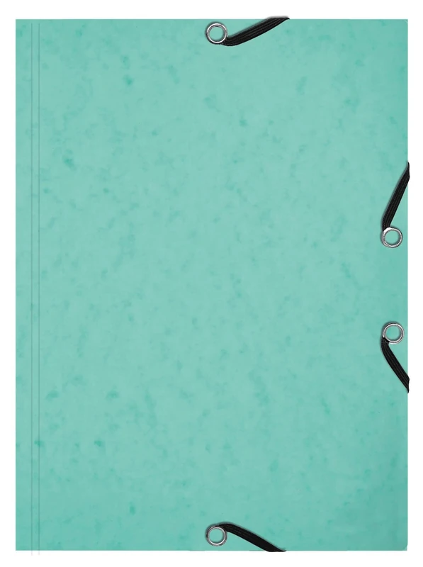 Exacompta - Ref 555663E - Box of 10 folders with 3 Elastic Flaps with Aquarel + 25 Index Cards A5 - Special Revision for Organisation by Theme or Material - Pastel Green