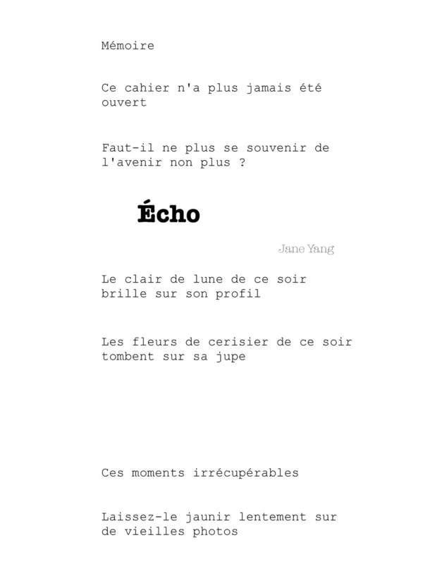 Echo - Literary Fiction Book by Blurb