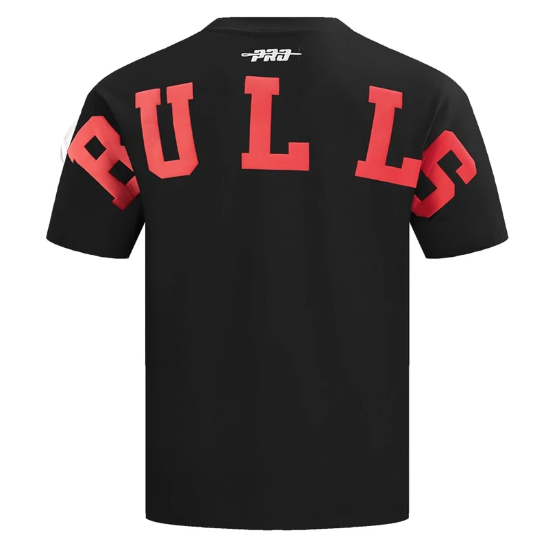 Pro Standard Mens NBA Chicago Bulls Wingspan Short Sleeve Tee Black S - Image 1