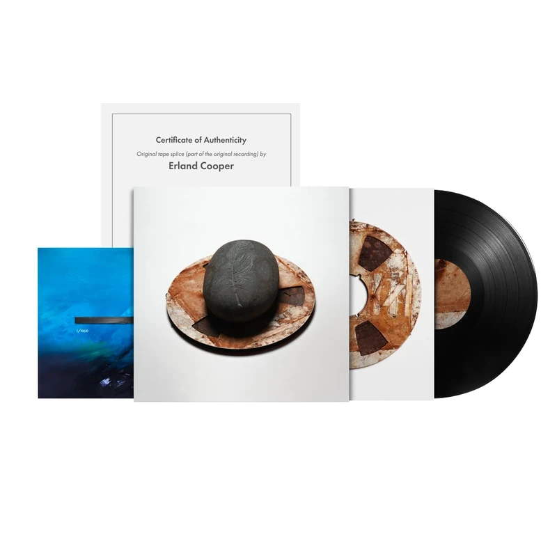 Carve the Runes Then Be Content With Silence (Ltd. Edt.) [VINYL] - Image 1