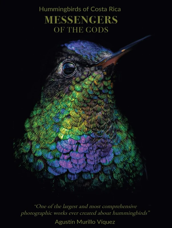 Hummingbirds of Costa Rica: Messengers of the Gods